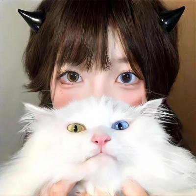 冒险兄弟第七季